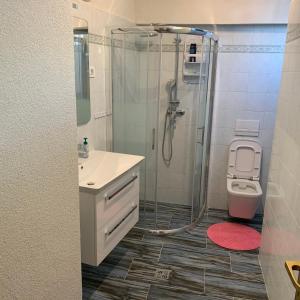 La salle de bains est pourvue d'une douche et de toilettes. dans l'établissement Apartment Lucija, à Novi Vinodolski
