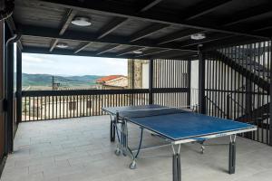 Stolní tenis v ubytování Palacio de Sansol nebo okolí