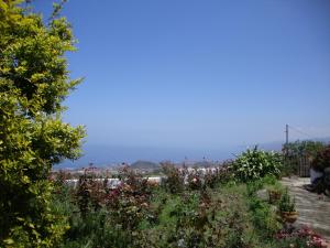 a garden with flowers and a view of the ocean at Casitas La Brenda y La Gaga in Los Realejos