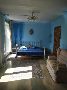 a bedroom with blue walls and a bed and a couch at Gold Sun Zelta Saule in Matkule