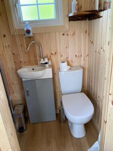 a small bathroom with a toilet and a sink at Wee Highland Hideaway Hut in Dalmally