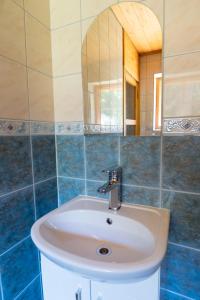 ein Bad mit einem Waschbecken und einem Spiegel in der Unterkunft Nature Guest House in Võsu