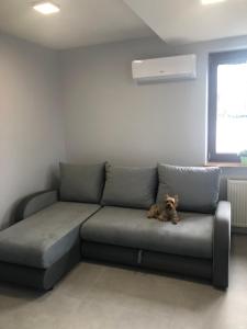 Część wypoczynkowa w obiekcie Klimatyzowane Apartamenty i Pokoje przy Targach Kielce