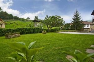 un patio con césped verde y un árbol en Apartamentos Rurales Los Brezos* en Cotillo