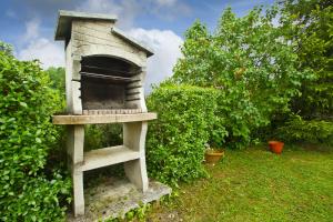 un horno al aire libre sentado en el césped junto a algunos arbustos en Apartamentos Rurales Los Brezos*, en Cotillo