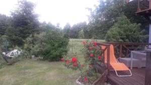 een tuin met een bank en rozen op een terras bij Sielska Chata in Fabianki