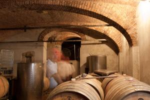 Fotografie z fotogalerie ubytování Wohnatelier im Bioweingut v destinaci Rust