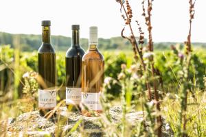 Nápoje v ubytování Wohnatelier im Bioweingut