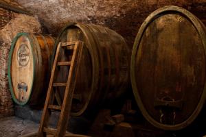 Fotografie z fotogalerie ubytování Wohnatelier im Bioweingut v destinaci Rust