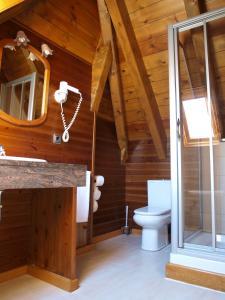 a bathroom with a toilet and a mirror at Hotel Ço De Pierra in Betrén