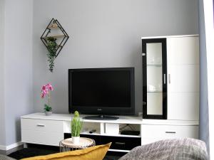 TV a/nebo společenská místnost v ubytování Apartman Neverin