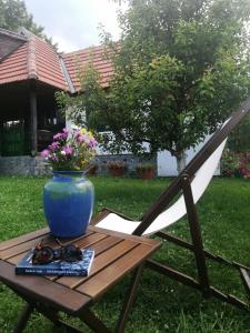 Zahrada ubytování Camp Viljamovka