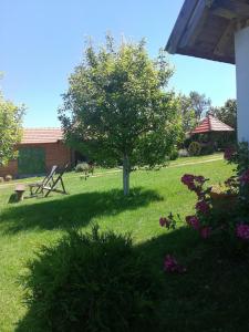 Zahrada ubytování Camp Viljamovka