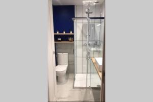 een badkamer met een toilet en een glazen douche bij CHARMANT STUDIO HYPER CENTRE in Troyes