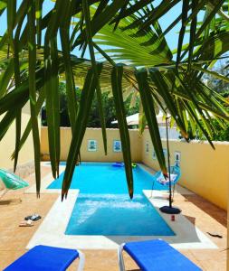 a pool with chairs and a palm tree at Casita Bella in Chiclana de la Frontera