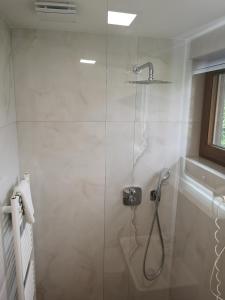 a bathroom with a shower with a glass door at Ski&Bike Nassfeld Apartments in Hermagor