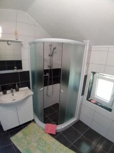 a bathroom with a shower and a sink at Apartment Gradina in Korenica +33 photos