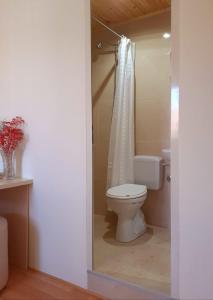 een badkamer met een toilet en een douchegordijn bij Guest House Zadeja in Shkodër
