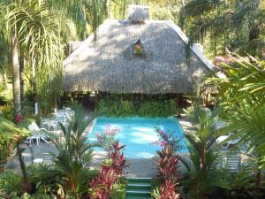 a thatched house with a swimming pool in a garden at Hotel La Palapa Eco Lodge Resort in Portalón