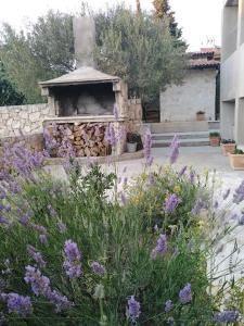 Billede fra billedgalleriet på APARTMANI MOROVI DVORI i Drage