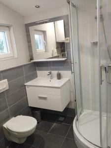 a bathroom with a toilet and a sink and a shower at APARTMANI MOROVI DVORI in Drage
