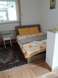een slaapkamer met een bed in een kamer met een raam bij St. Marko Church App in Belgrado