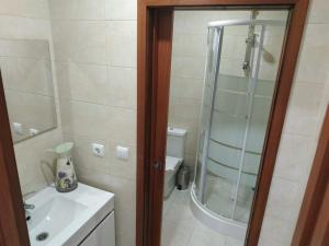 baño pequeño con ducha y lavamanos en ML Apartments Aliados, en Oporto
