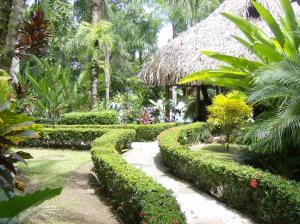 Jardín al aire libre en Hotel La Palapa Eco Lodge Resort