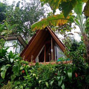 a small house in the middle of the forest at ECO Bedugul adventurer camp in Bedugul