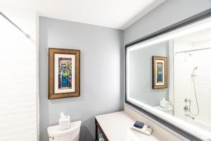 a bathroom with a toilet and a large mirror at Andrew Pinckney Inn in Charleston