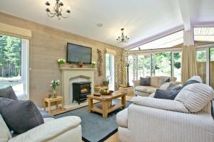 a living room with two couches and a fireplace at Haldon Forest Lodge, Exeter in Exeter