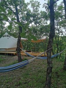 Gallery image of ECO Camp Supot in Šmarje