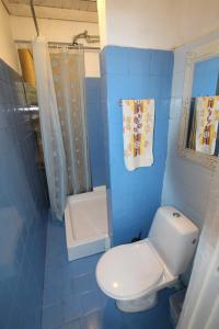 a blue bathroom with a toilet and a shower at Smiling house & Baltic beach in Jūrmala