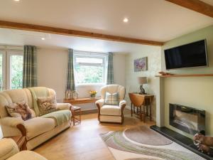 a living room with a fireplace and a tv at Shilstone Lodge in Newton Abbot