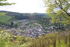 a town in a valley with houses and trees at Hotel zur Krone in Birresborn +7 photos