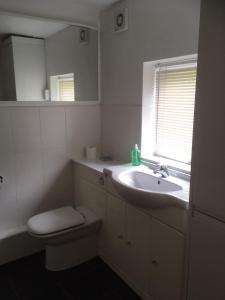 a bathroom with a sink and a toilet and a window at Rhydgaled in Llanon