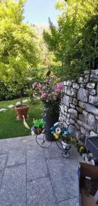 Zahrada ubytování Magic Garden with Jacuzzi-Pool and Luxury Lake Como view