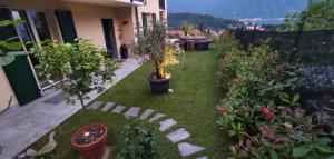 Zahrada ubytování Magic Garden with Jacuzzi-Pool and Luxury Lake Como view