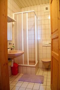 uma casa de banho com um chuveiro, um lavatório e um WC. em Ferienhaus Haring em Kitzeck im Sausal