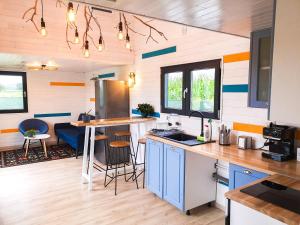 a kitchen with blue cabinets and a counter top at Tiny House - Baia de Fier in Baia de Fier