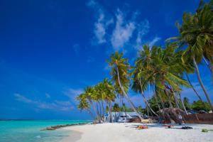 Gallery image of Kaani Village & Spa in Maafushi