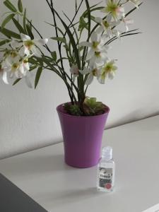 Fotografia z galérie ubytovania Ferienappartement GROCKE v Kaprune