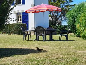 um pássaro parado na relva ao lado de uma mesa com um guarda-chuva em NEVEZ - MAISON LES PIEDS DANS L EAU avec vue imprenable em Névez