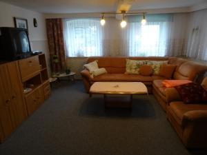 a living room with a couch and a tv at Ferienhaus Johanna in Weischlitz