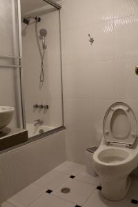a bathroom with a toilet and a shower and a sink at Kaaro Hotel Puno in Puno