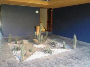 Fotografie z fotogalerie ubytování Hotel Calli v destinaci Santo Domingo Tehuantepec