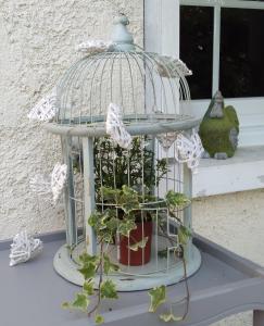 a bird cage with plants in it on a window sill at Au Cœur de Ménestérol in Montpon-Ménestérol