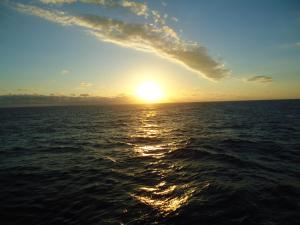 una puesta de sol sobre el océano con el sol en el cielo en Casa de Vacanta Pravdencu, en Mahmudia 16 fotos más