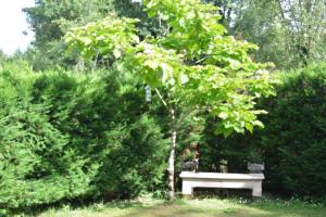 a park bench sitting under a tree in a park at Au Cœur de Ménestérol in Montpon-Ménestérol