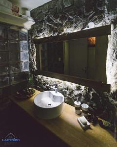 a bathroom with a sink and a mirror at Ladybird Lodge in Bela Crkva